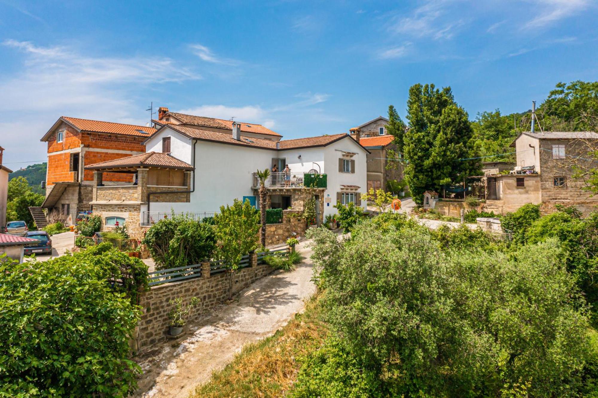 Holiday Home Belveder Motovun With Heated Pool リヴァデ エクステリア 写真