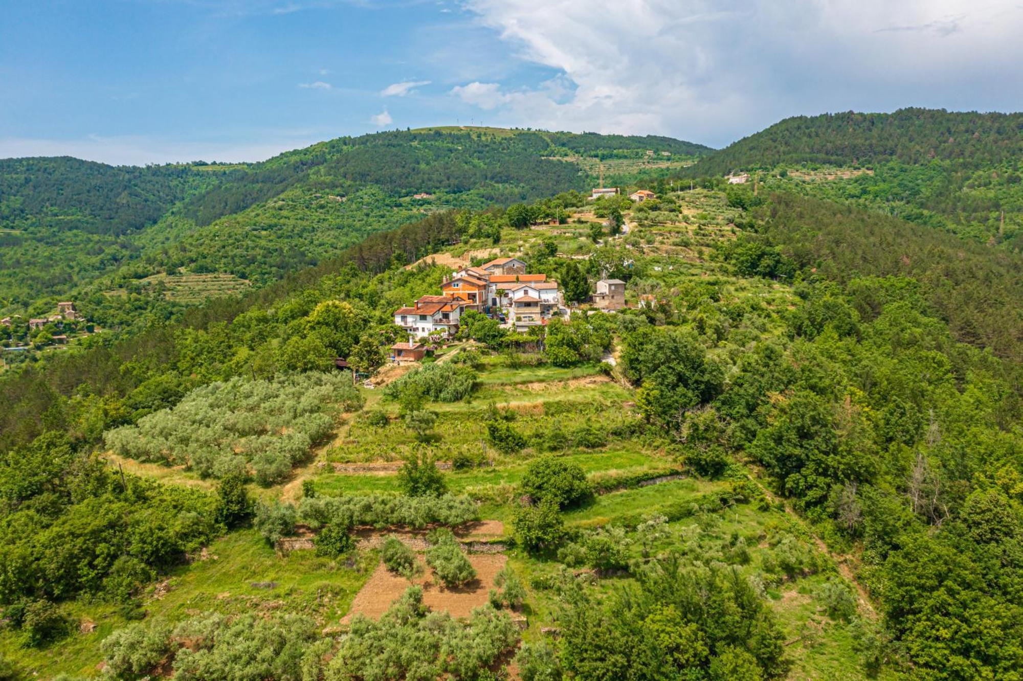 Holiday Home Belveder Motovun With Heated Pool リヴァデ エクステリア 写真