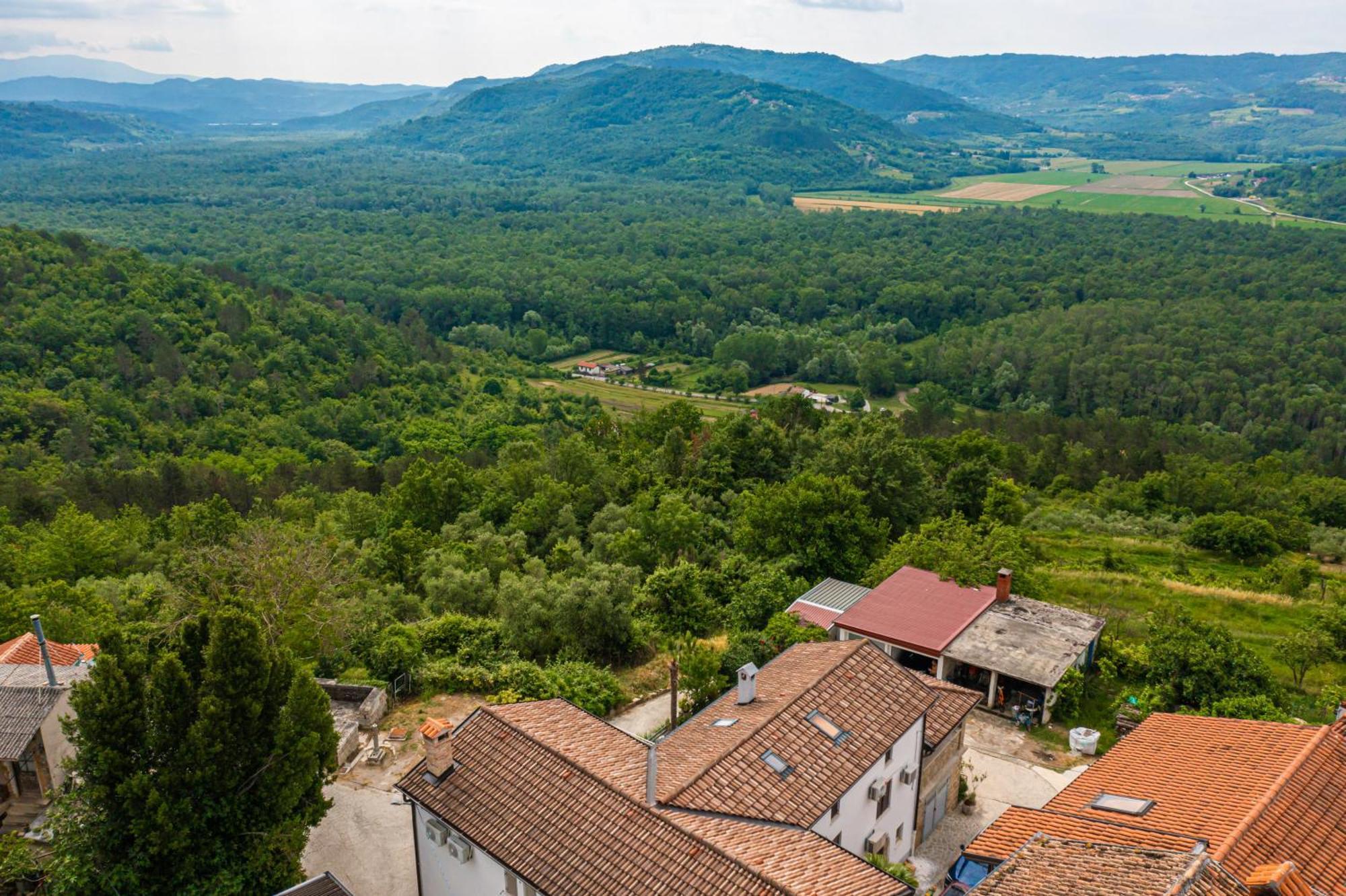 Holiday Home Belveder Motovun With Heated Pool リヴァデ エクステリア 写真